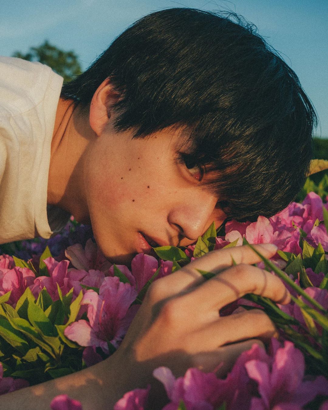 坂东龙汰 坂东龙汰