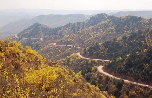 长子发鸠山图片美景图片