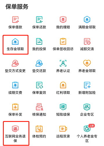 人寿保险99鸿福97版交20年后能领多少？99鸿福97版怎么领？