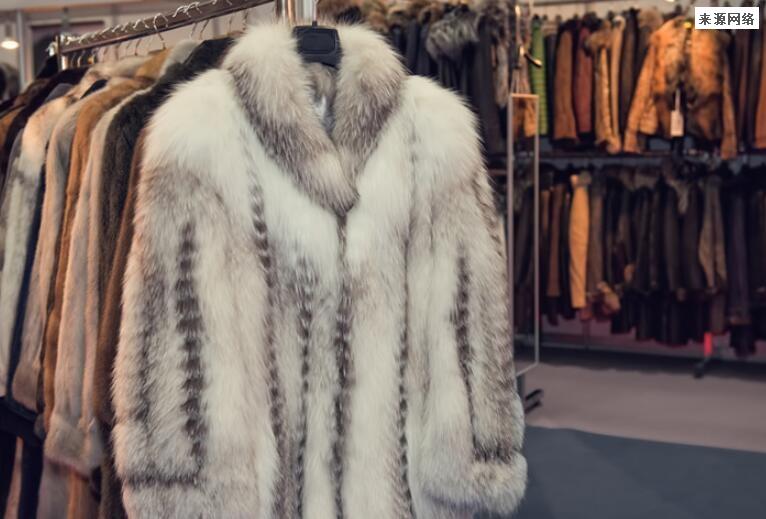 始祖鸟为什么突然火了