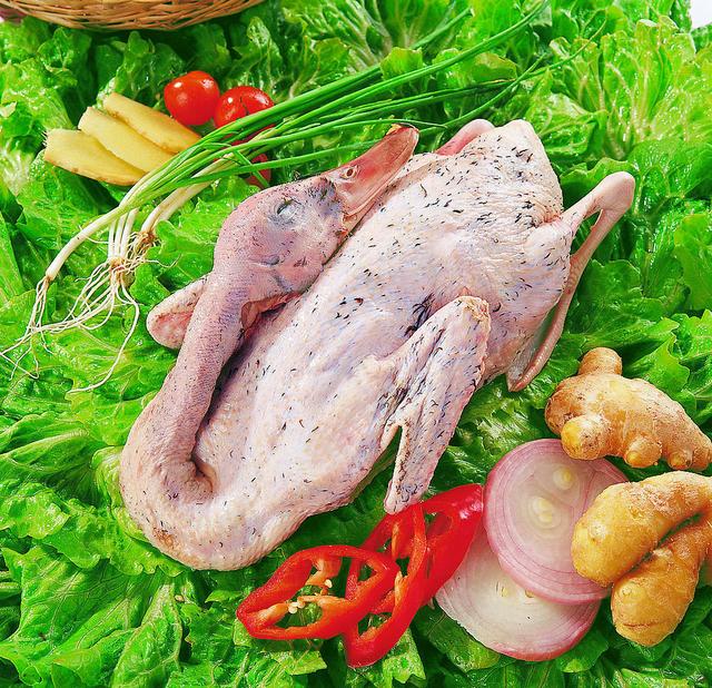 老鸭汤正宗的做法(各类美味老鸭汤的制作)