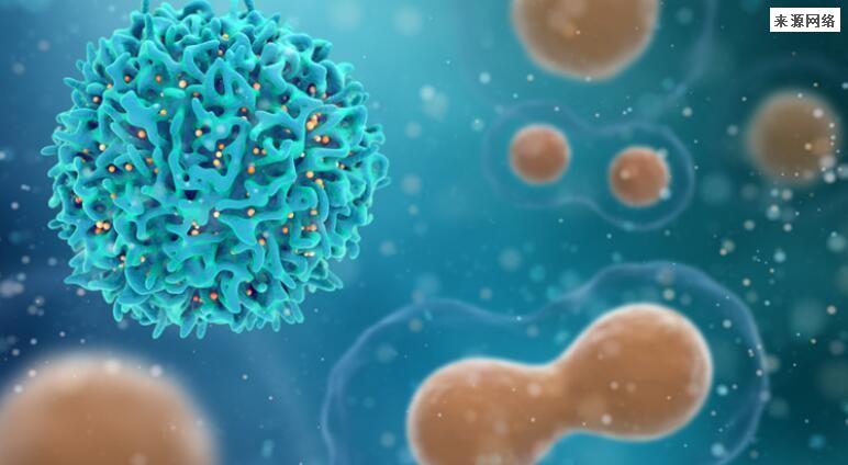郑州航空学院疫情