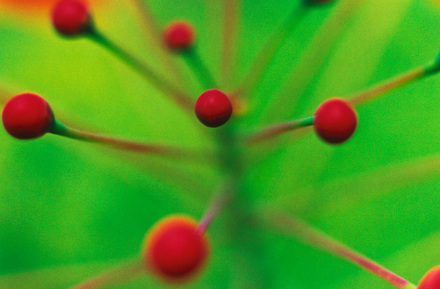 蜷川实花作品 蜷川实花作品