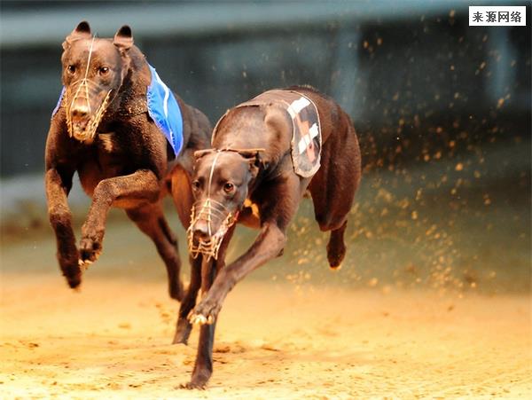关于香港无线电视财经体育资讯台