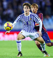 皇家社会时期 皇家社会时期