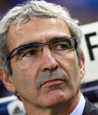 雷蒙德·多梅内克 雷蒙德·多梅内克