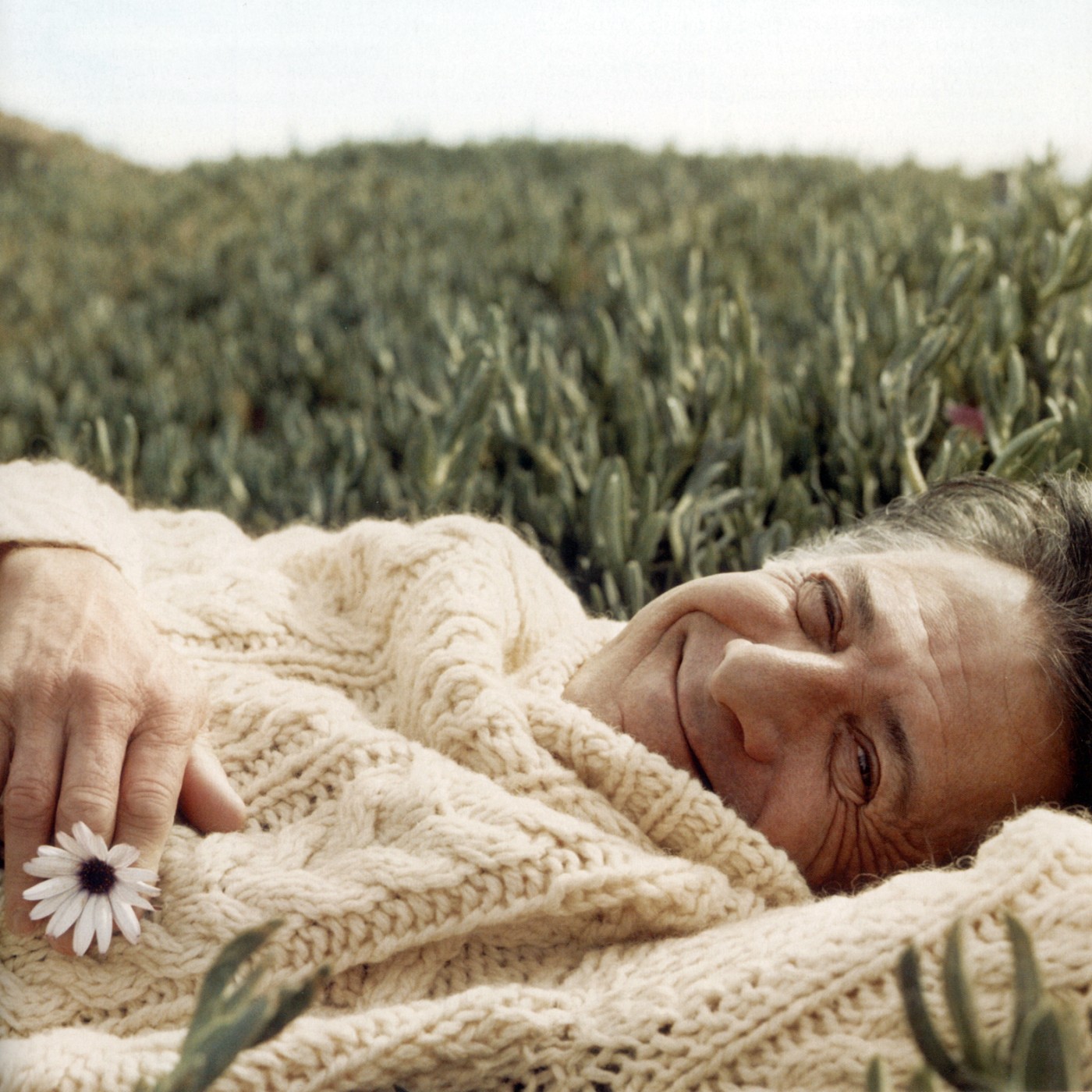 达斯汀·霍夫曼 达斯汀·霍夫曼