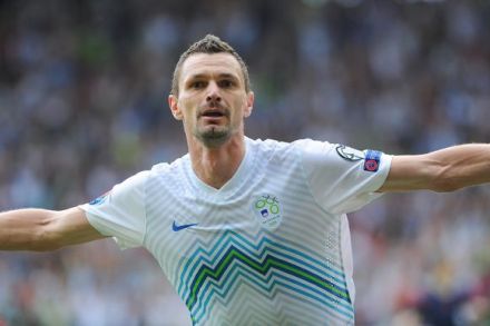 斯洛文尼亚国家男子足球队 斯洛文尼亚国家男子足球队