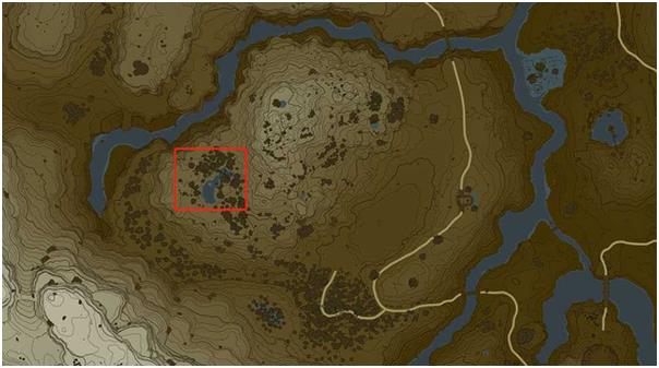 《塞尔达传说：王国之泪》蜂蜜获取位置介绍