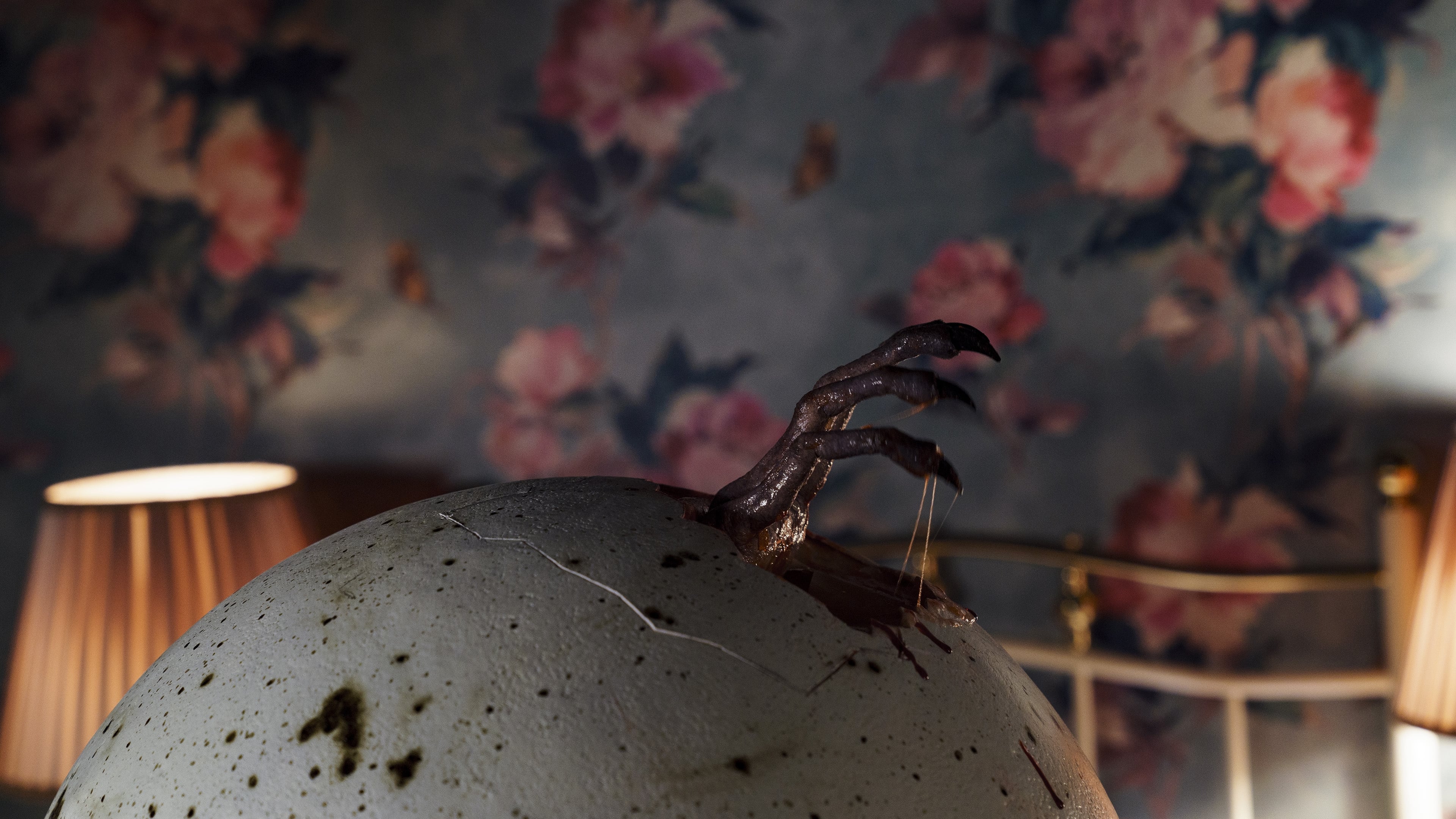 孵化(2022)的剧照 孵化(2022)的剧照