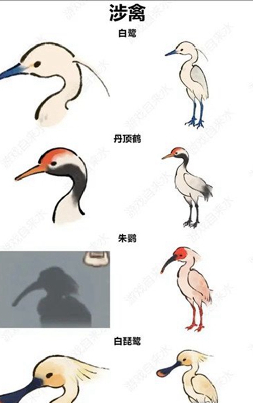 《桃源深处有人家》怎么辨别鸟类