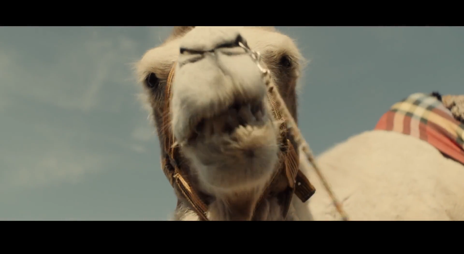 渗透(2022)的剧照 渗透(2022)的剧照