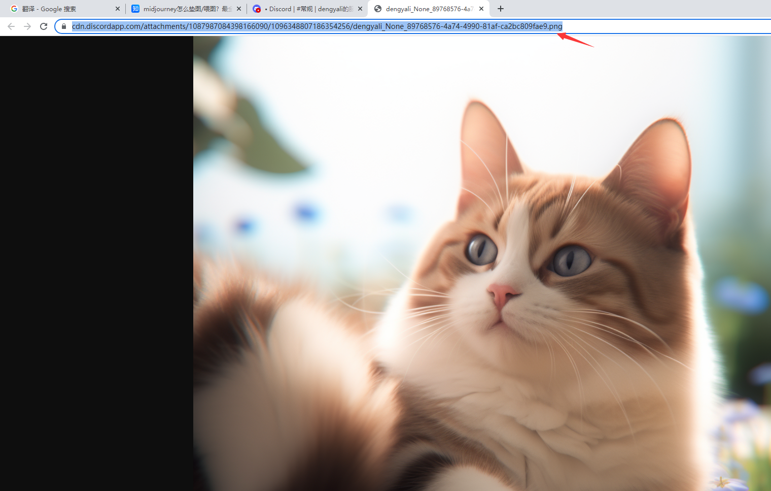 《midjourney》怎么垫图