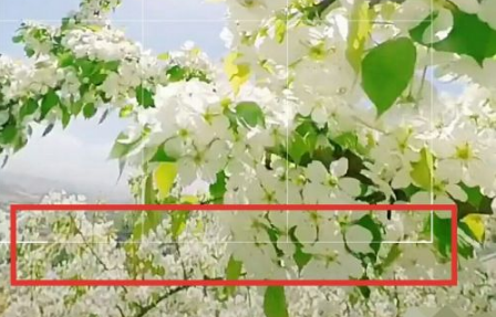 《爱剪辑app》怎么裁剪视频