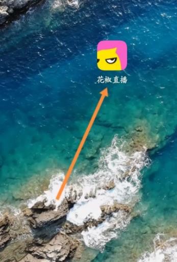 《花椒直播》怎么赚钱