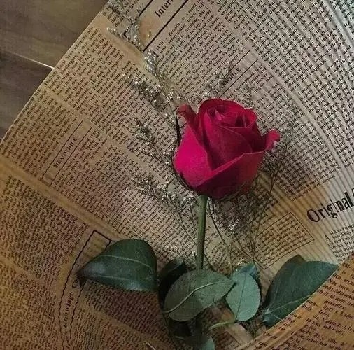 《instagram》怎么保存照片