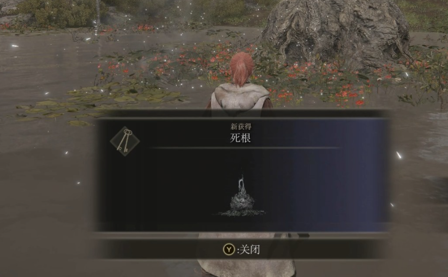 《艾尔登法环》D位置介绍