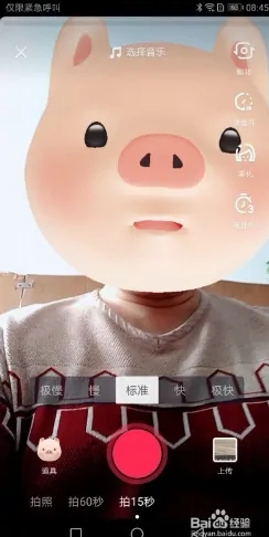 《抖音》猪头特效怎么弄
