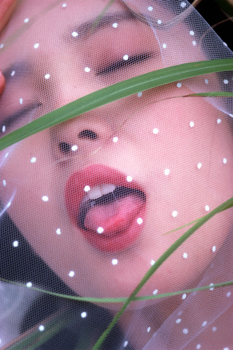 樋口可南子 樋口可南子