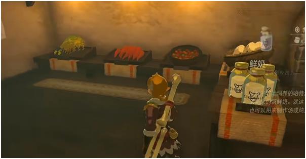 《塞尔达传说：王国之泪》海拉鲁米速刷地点攻略