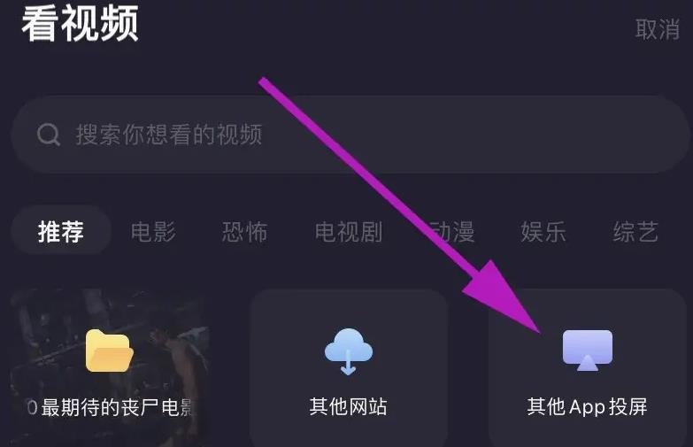 《微光》怎么使用其他视频软件投屏