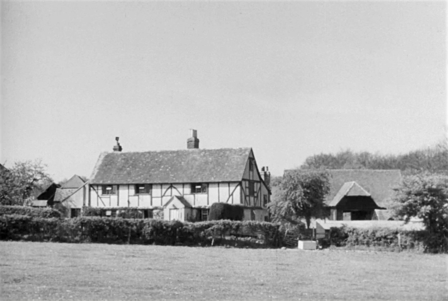 死亡之夜(1945)的剧照 死亡之夜(1945)的剧照