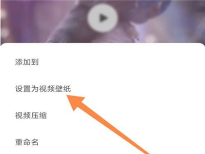 《小红书》怎么设置动态壁纸