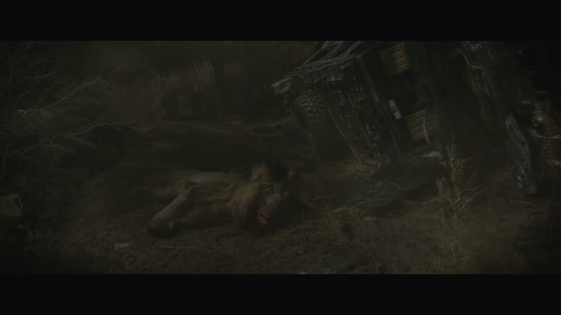 荒野狂兽(2022)的剧照 荒野狂兽(2022)的剧照