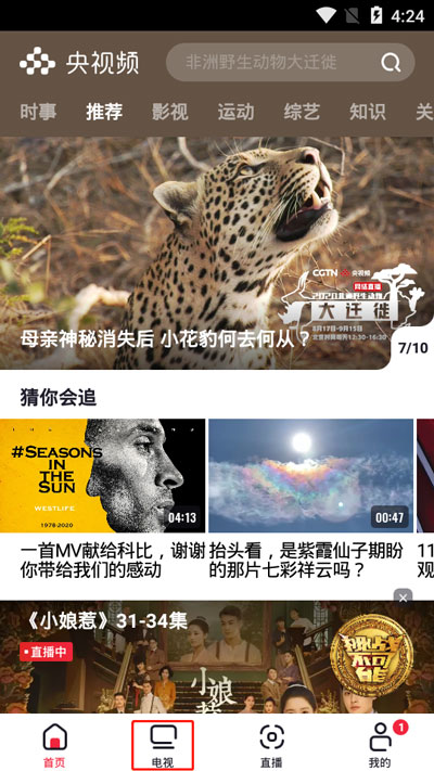 《央视频》怎么看回放