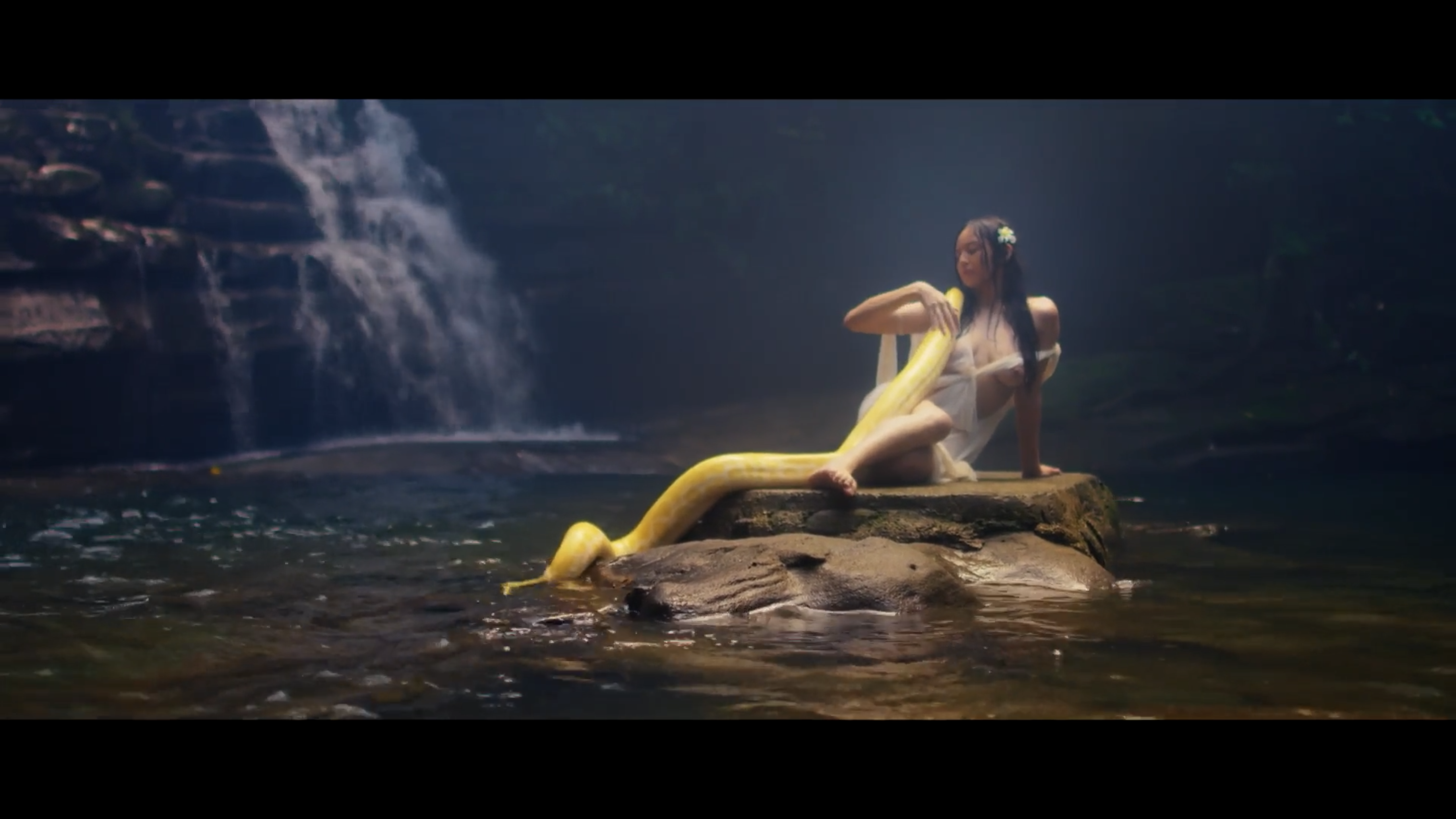 原始森林(2022)的剧照 原始森林(2022)的剧照