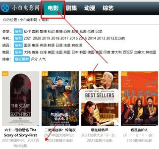 《小白网》怎么用