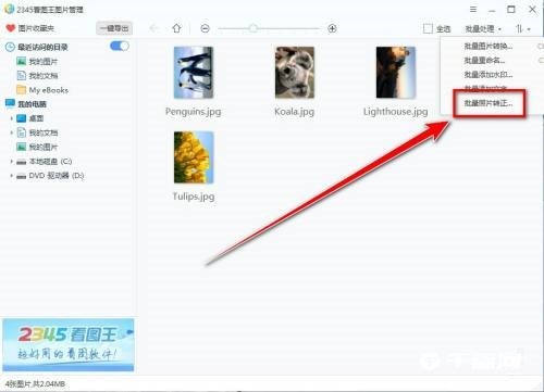 《2345看图王》怎么批量转正图片