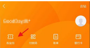 《苏宁易购》怎么查看总消费金额