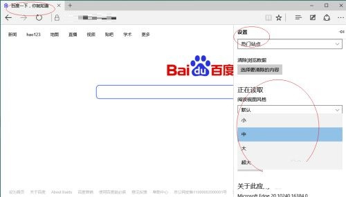 《Edge浏览器》怎么设置阅读视图字号