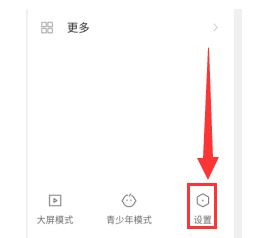 《快手极速版》如何设置小屏模式