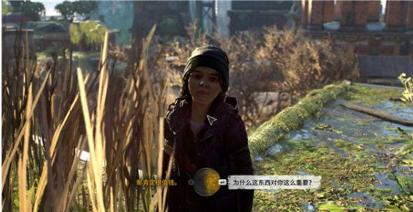 《消逝的光芒2》怎么过情感无价任务