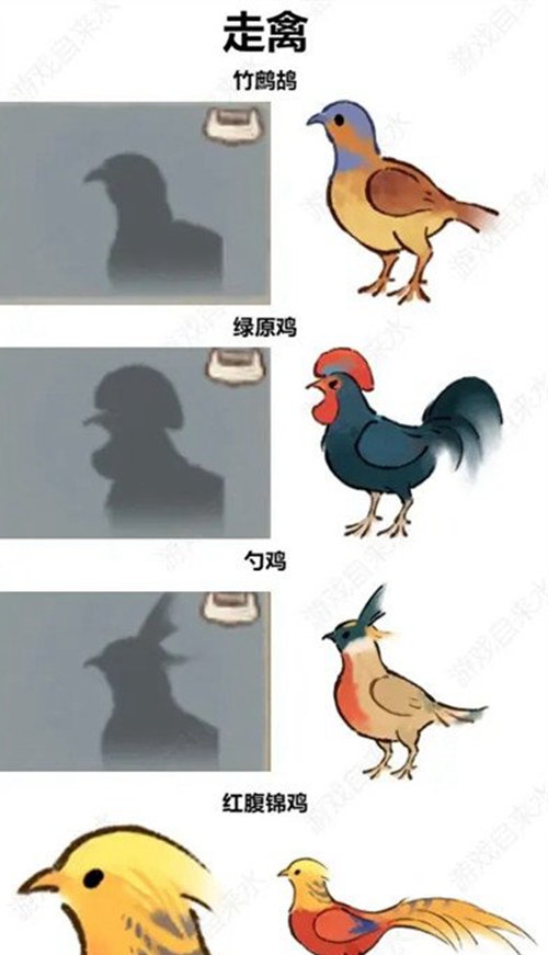 《桃源深处有人家》怎么辨别鸟类