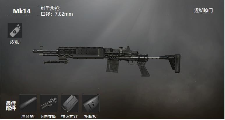 《和平精英》Mk14射手步枪武器测评