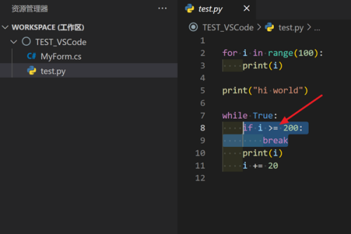 《Vscode》怎么扩大选区