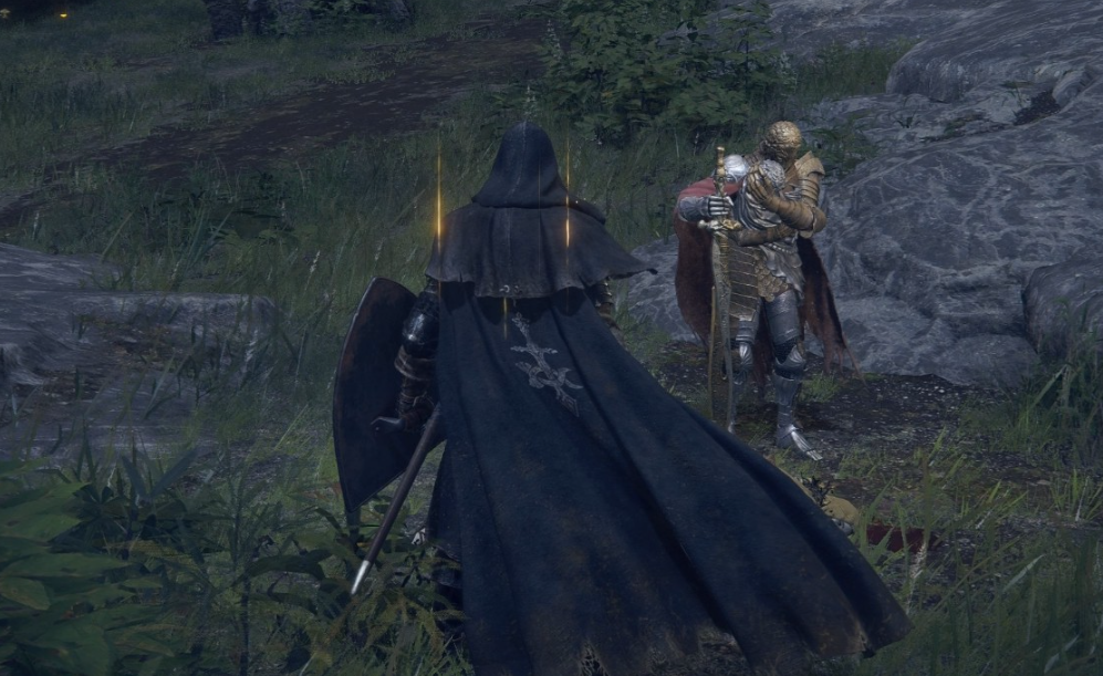 《艾尔登法环》D位置介绍