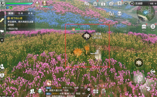 《天谕手游》藏品六裂红叶获取详细流程