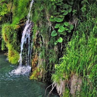 《微信》头像风景图片