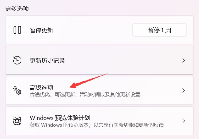 Windows11更新好慢解决方法