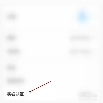 《郑好办》怎么实名认证