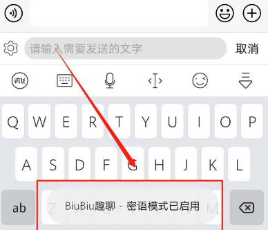 《讯飞输入法》怎么设置BiuBiu密语模式