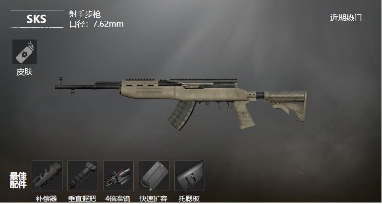 《和平精英》SKS射手步枪武器测评