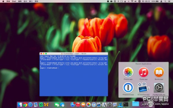 Mac的Dock栏使用教程