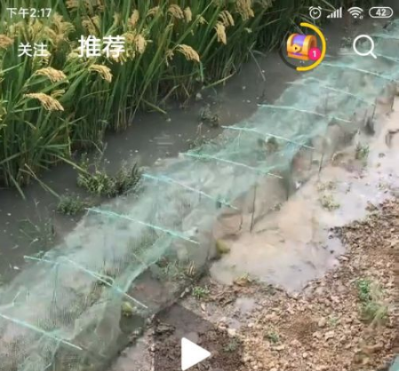 《微视》怎么签到领腾讯视频会员