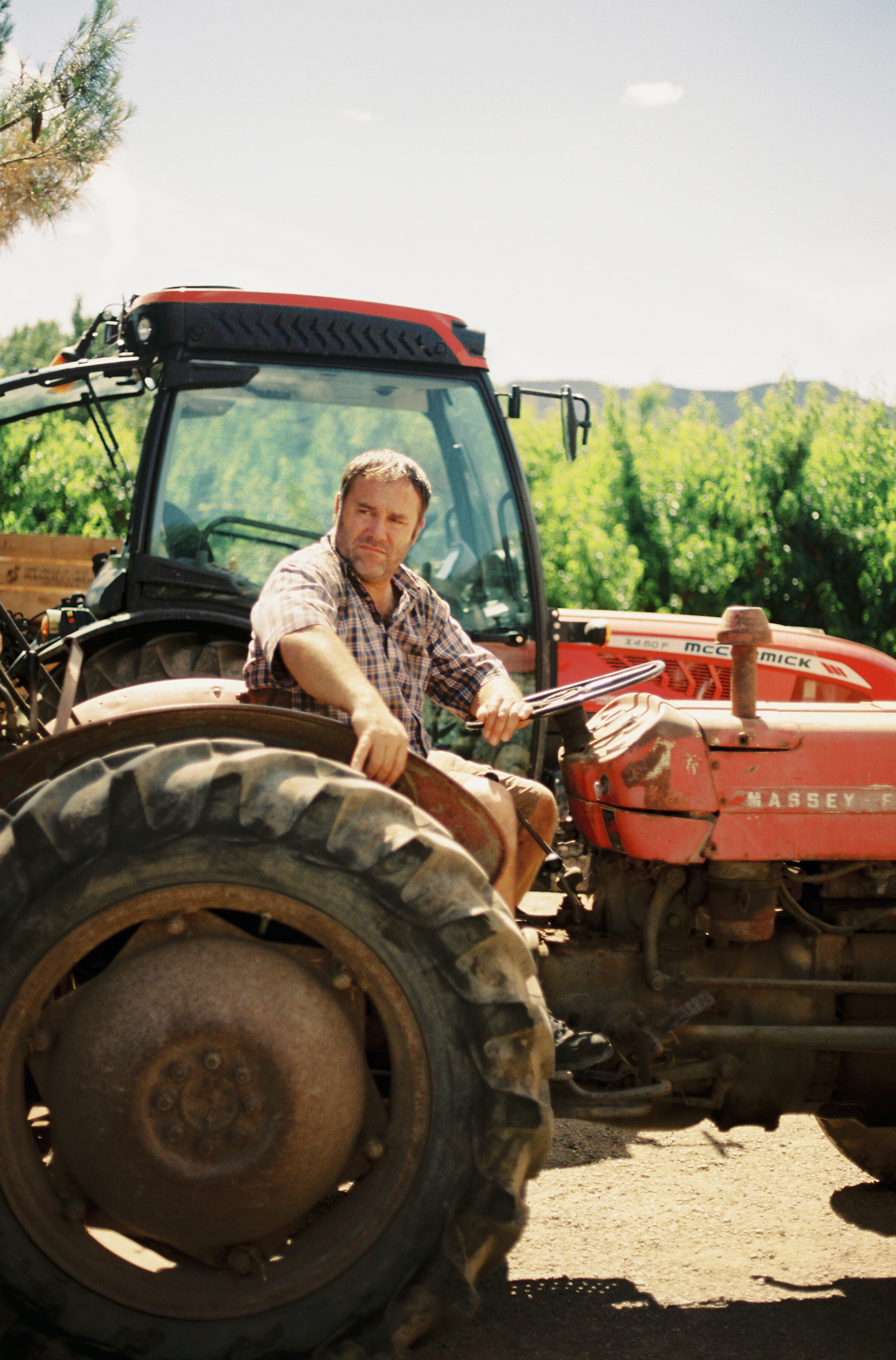 阿尔卡拉斯(2022)的剧照 阿尔卡拉斯(2022)的剧照