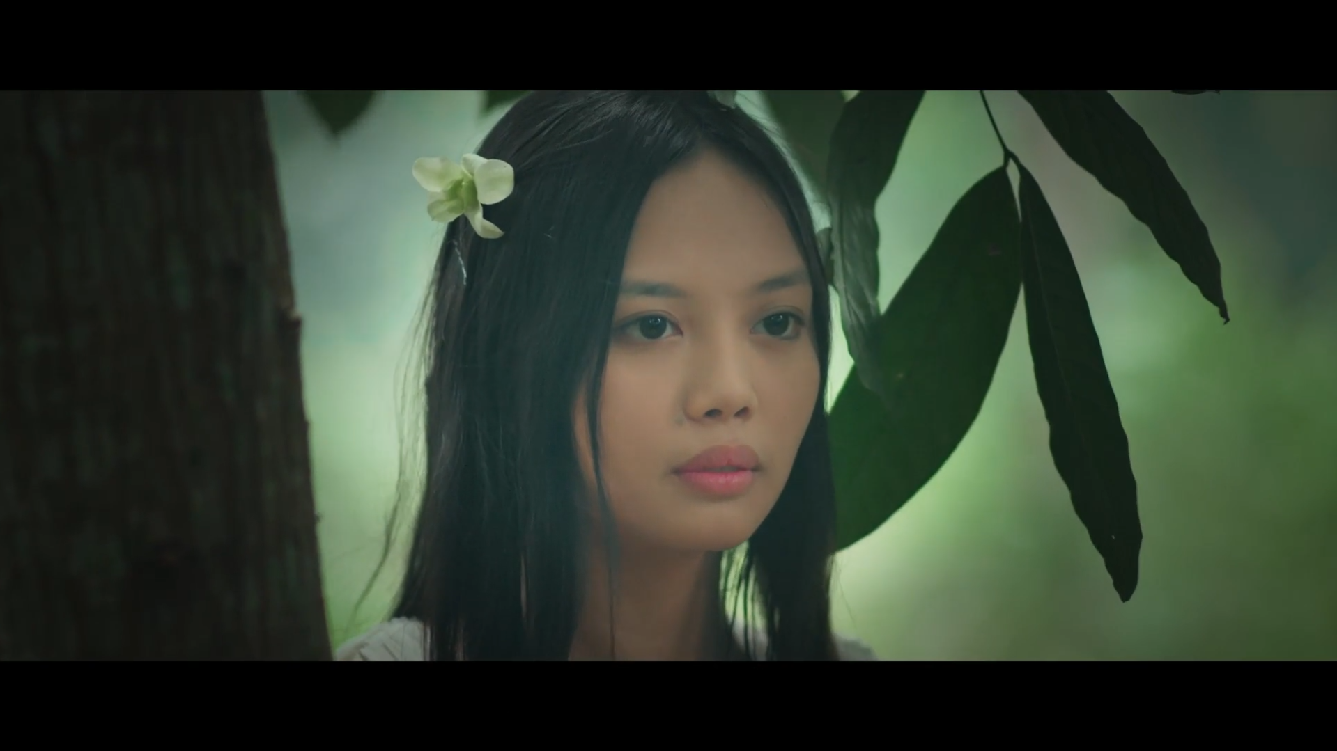 原始森林(2022)的剧照 原始森林(2022)的剧照